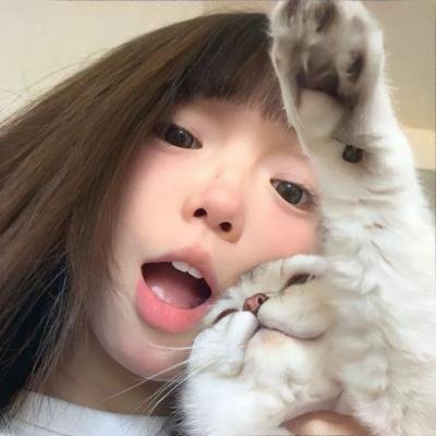 企鹅:极地追踪